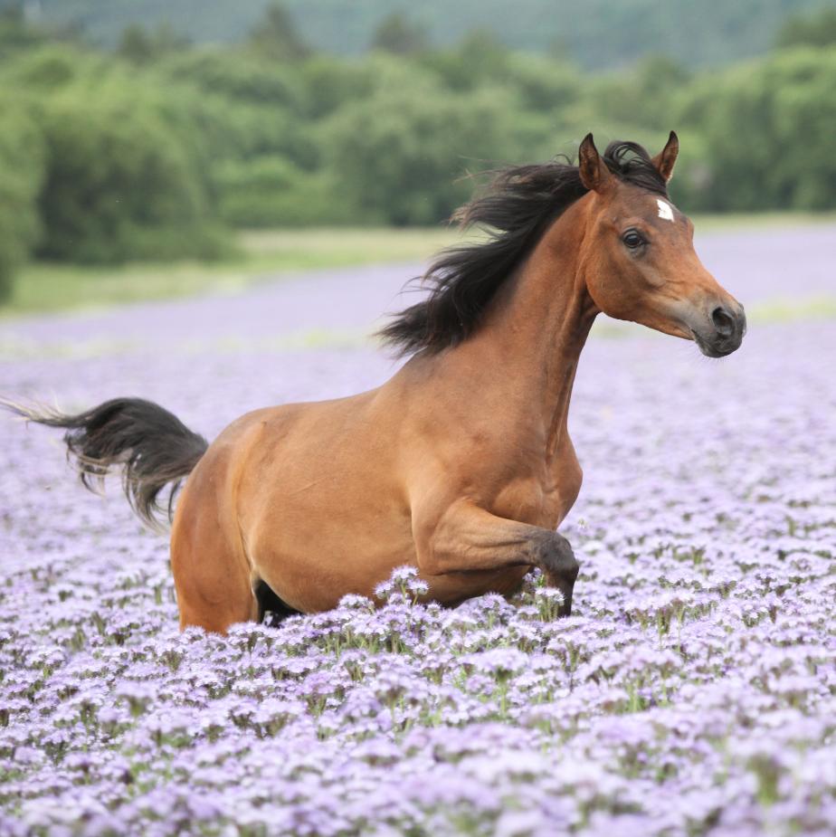 Carr Day Martin tweet media