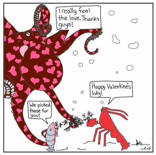 CatchCuteness's tweet photo. Happy Valentine's day everyone! 
#love #octopus #shrimpnlobster #cartoon #weeklycurrent #ValentinesDay #BeMyValentine #hearts #ExploreTheOcean #explore 
https://t.co/AFDLdUmRZT https://t.co/e9giIbeBuf