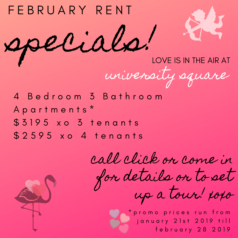 University Square Rentals tweet media