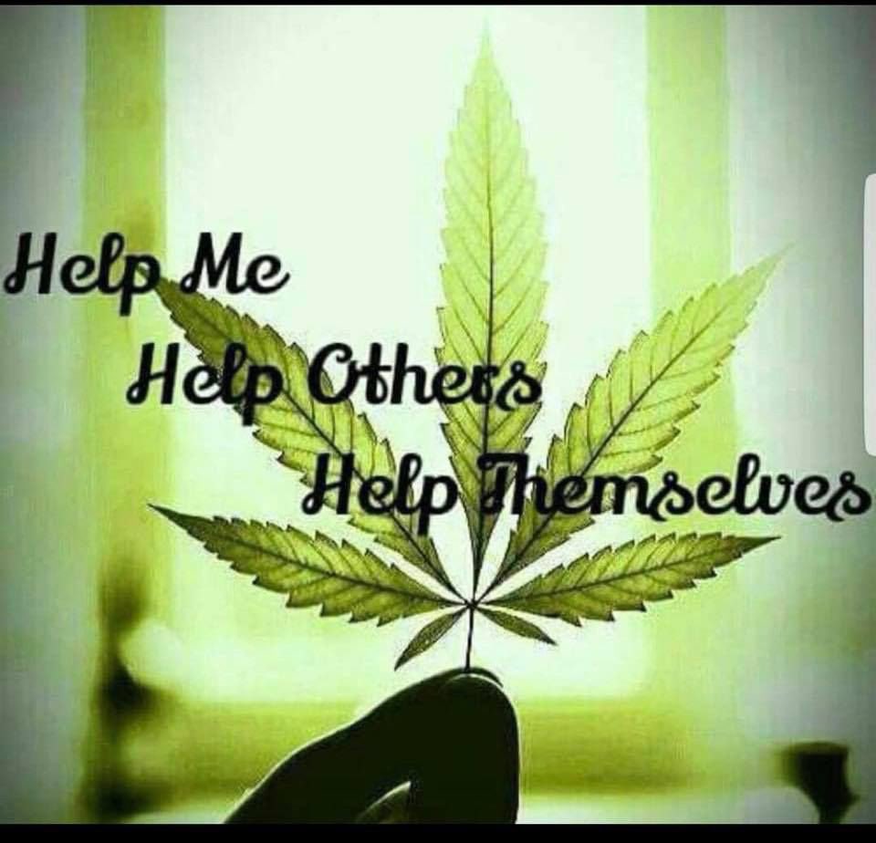 jaqueeg3's tweet photo. #cbd #naturalhealing #hempheals #nomorestigma #mentalhealth #emotionalhealth #balanced #anxietyrelief #depressionrelief #panicattackrelief #seizurerelief #thcfreecbd #cleanmedicine https://t.co/XPTlPqq51H