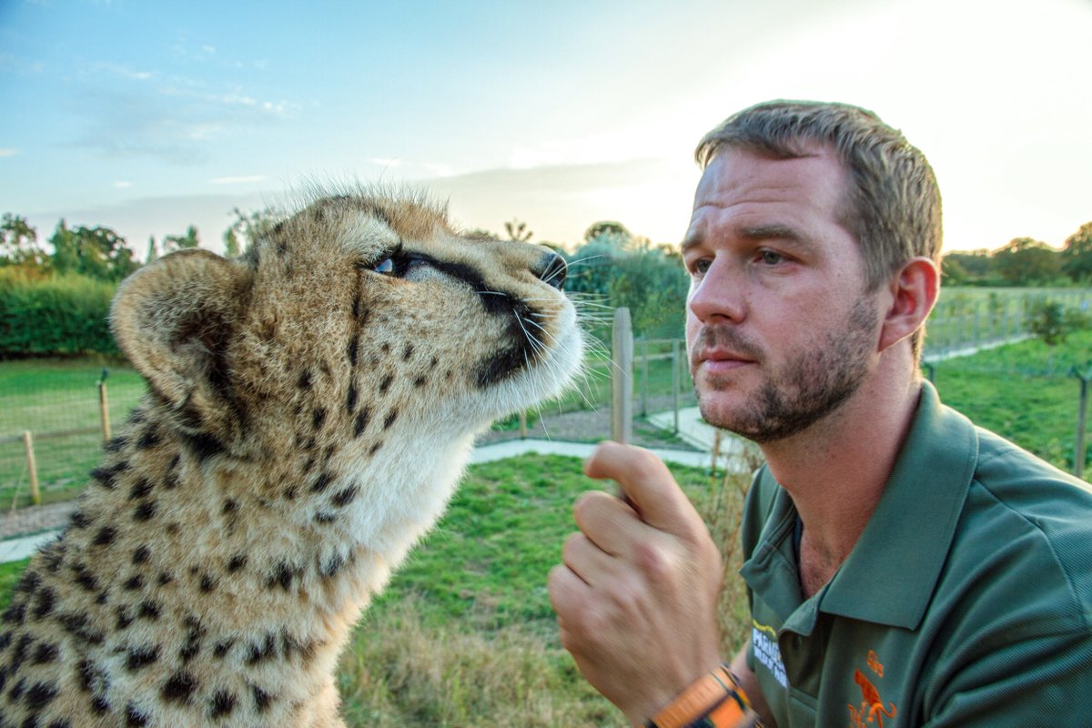 TheBigCatSanct's tweet photo. "The majority of the cat species are facing a crisis in the wild, and I'm on this mission now to make a difference" - #GilesClark
@GilesClark78 #BigCatsAboutTheHouse #BCATH #mayathejaguar #herstory #conservation #bigcatconservation
Photo credit: BBC https://t.co/pPX0dZF7t0