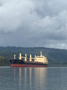 Port of Kalama takes the first step to installing a long-planned commercial dock facility to better serve marine commerce on the Columbia River! #commerce #shipping #trade #economy #marine #maritime 

portofkalama.com/port-of-kalama…