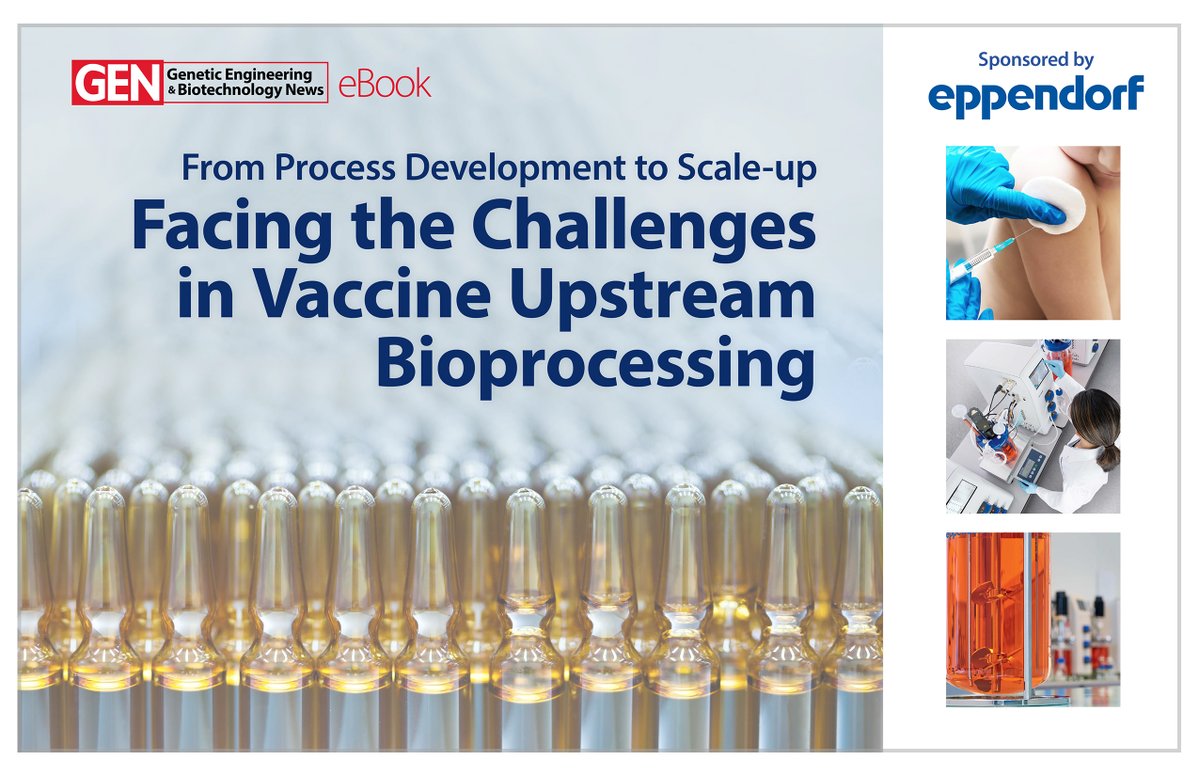 ebook Molecular Interventions in Lifestyle Related Diseases (Oxidative Sress and Disease)