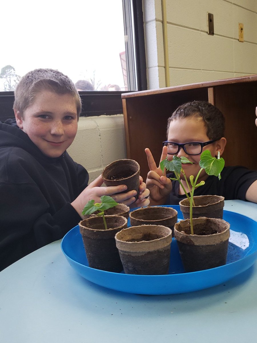 13Klash's tweet photo. Our sprouts are FINALLY sprouting. I was more impatient than the kiddos. #UnlockYourPotential #BPRD @BeebeMiddle https://t.co/w4CaeyJVqq