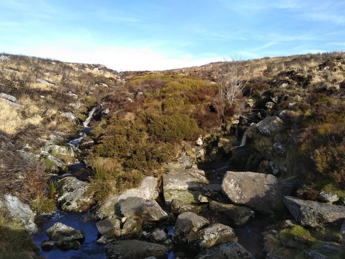 SSNetResearch's tweet image. How many flow types can you spot? Great day learning the MoRPh river survey in the Cloghoge river and it&apos;s tributaries.