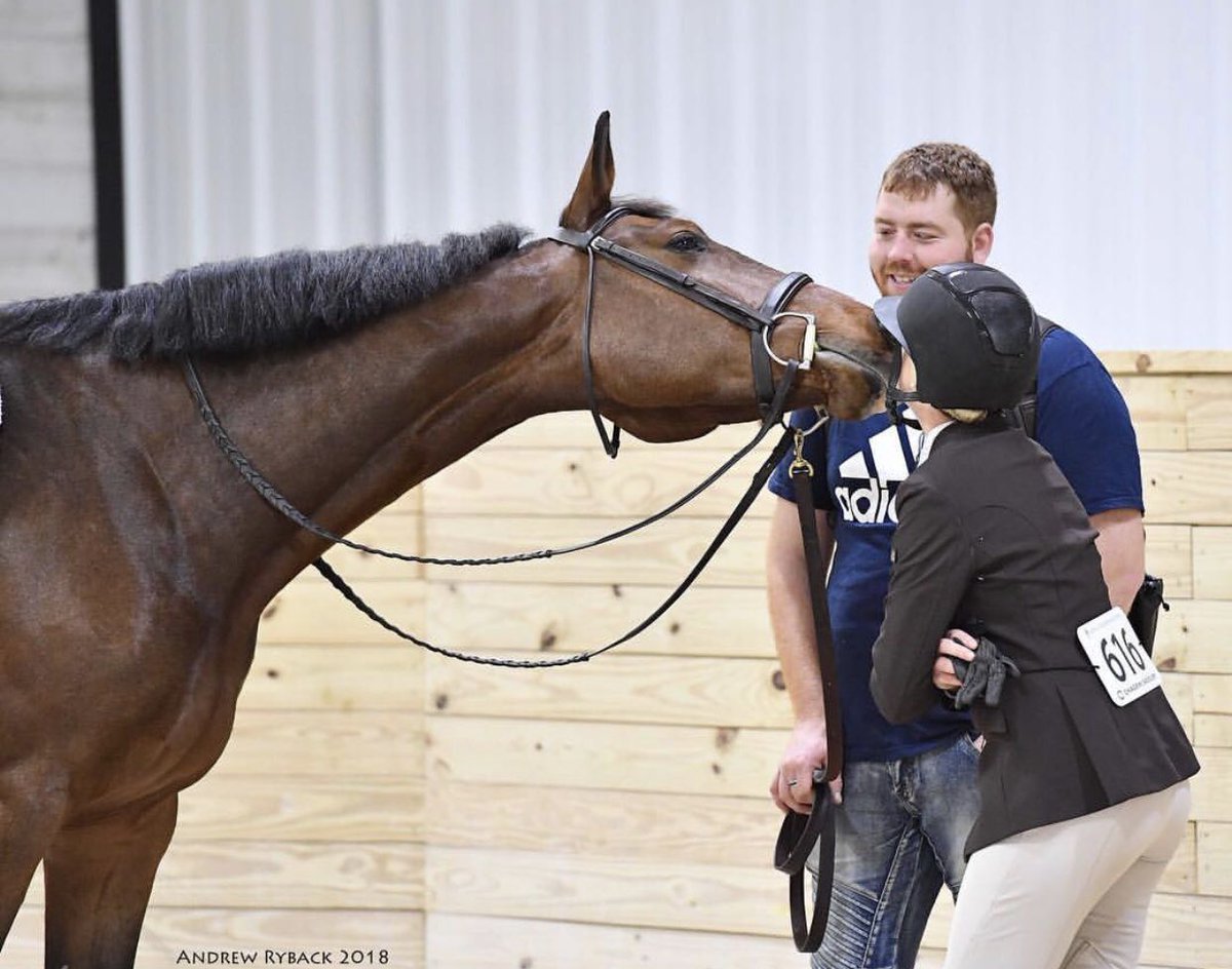 kaskequestrian's tweet photo. Happy Valentine’s Day to you and your four legged friends💚 XOXO KASK team #kaskaddicted #Valentine 📷:Andrew Ryback Photography https://t.co/R5K7sZDezG