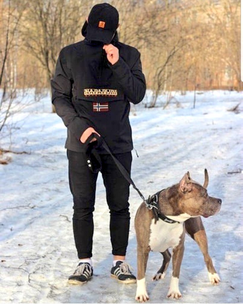 Парень с питбулем