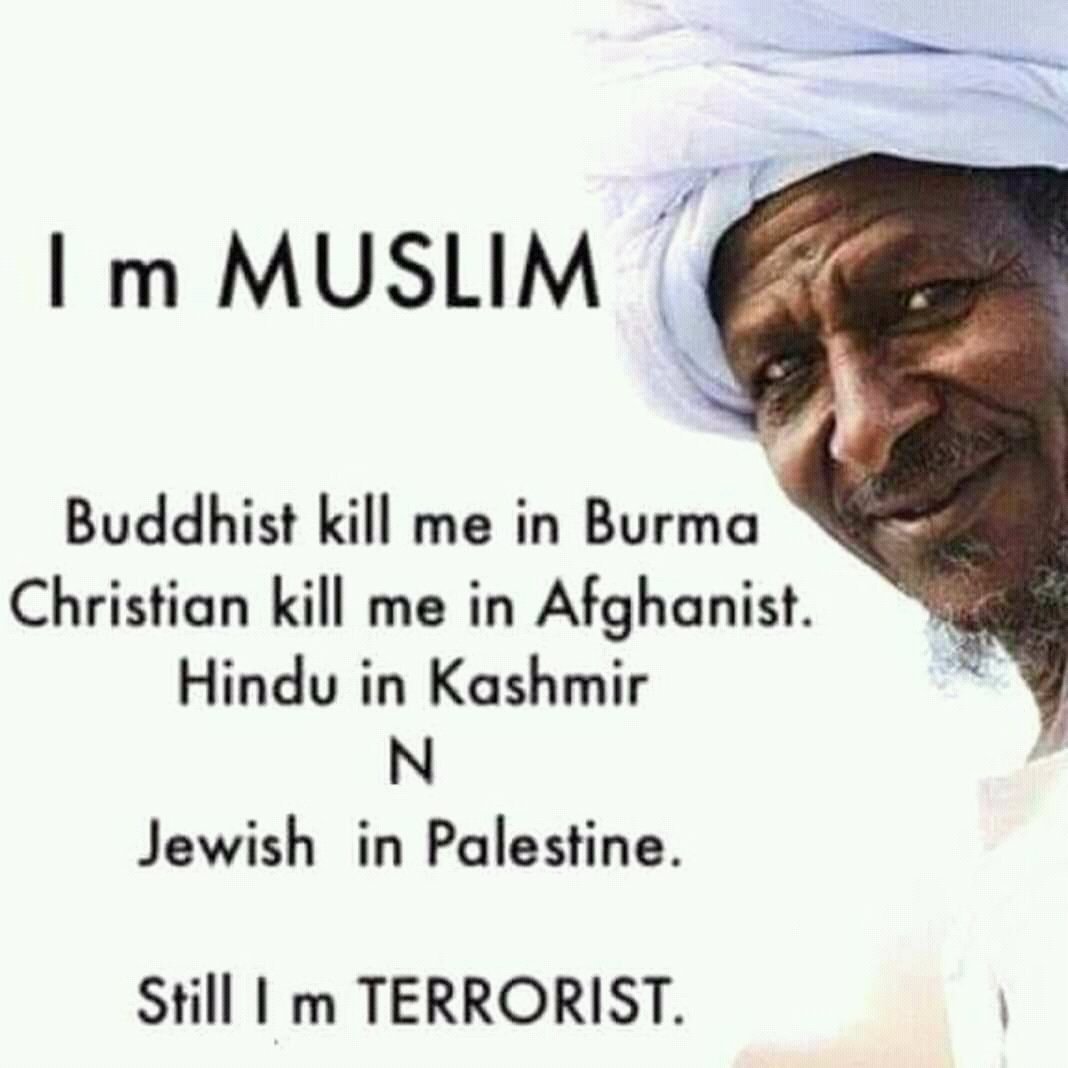 Hamza Ali Amjad tweet media