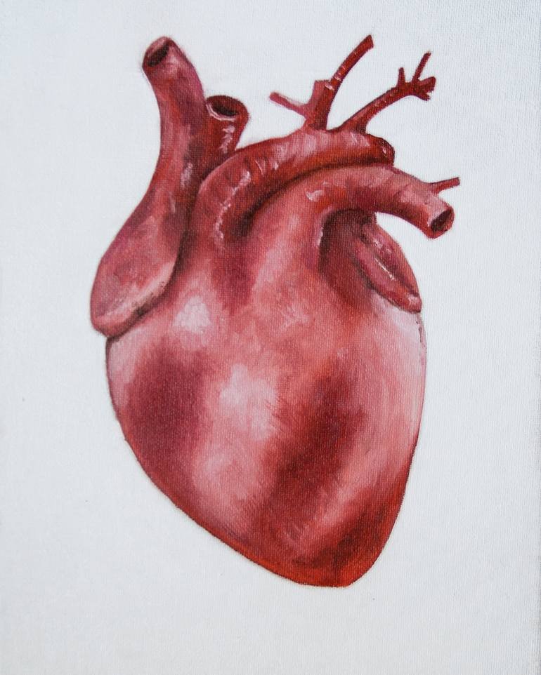 Орган сердце человека рисунок. Человеческое сердце картина.