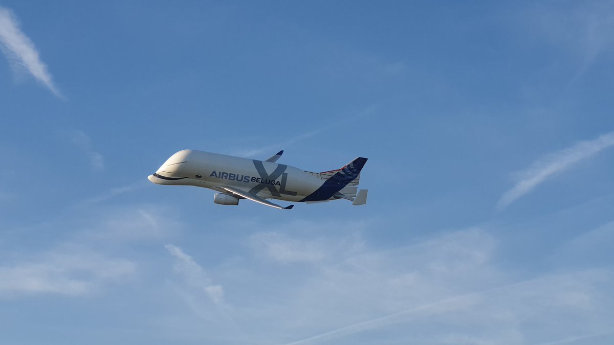 Thewingmaker44's tweet image. The Beluga XL... #airbus #BelugaXL #sunshine #blueskys