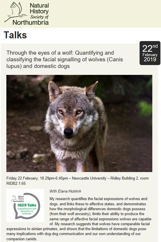 ElanaHobkirk's tweet photo. Hi all, I am giving a talk next week on my #wolf and #dog #research for @NEE_Naturalist please feel free to come along! Details: Friday 22 February, 18.29pm-6.45pm – Newcastle University (UK) – Ridley Building 2, room RIDB2.1.65
https://t.co/redEavWI6W
#ResearchingWolves @DurBiol https://t.co/qExft2TXj1