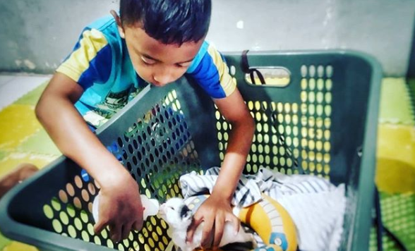 rshramak's tweet photo. @amazonIN My son is feeding new born member of our family 
Sometimes you have to paws the world
#FeedWithLove https://t.co/L6mf8j4AmI