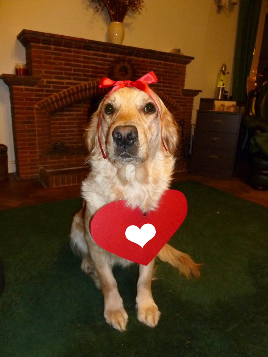 LauraBrambles's tweet image. Happy Valentine's Day all 😍