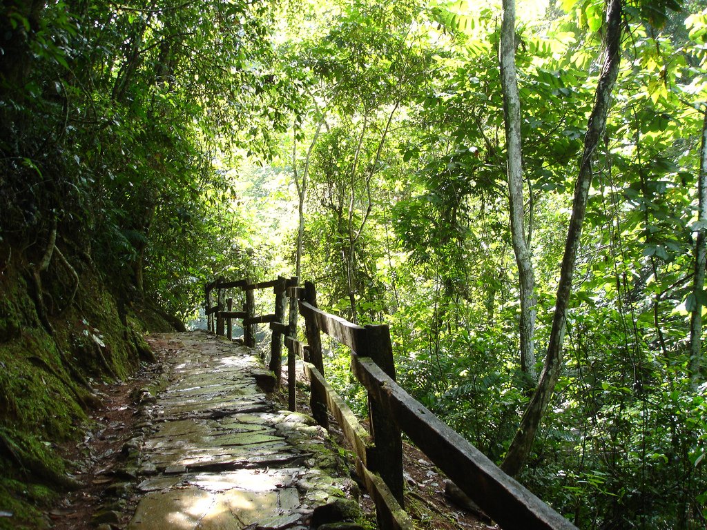VTVcanal8's tweet photo. Venezuela ha reducido la tasa de deforestación;  gracias al trabajo de la Misión Árbol 
https://t.co/LBzuDUd9zZ

#ExpoGuárico2019 https://t.co/FlNueRb70q