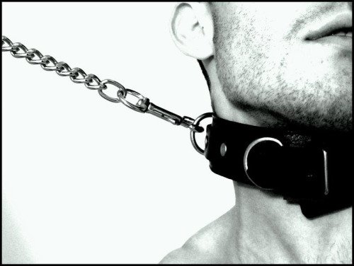 #collar #msub #sub https://t.co/NYvoY85c3D<a href="/tag/collar"class="tags">#collar</a><a href="/tag/msub"class="tags">#msub</a><a href="/tag/sub"class="tags">#sub</a>