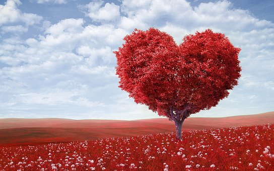 JoyALLways's tweet photo. Happy Valentine's Day! To a day of abundant and generous love for one and ALL. https://t.co/YSkVKTa2bm