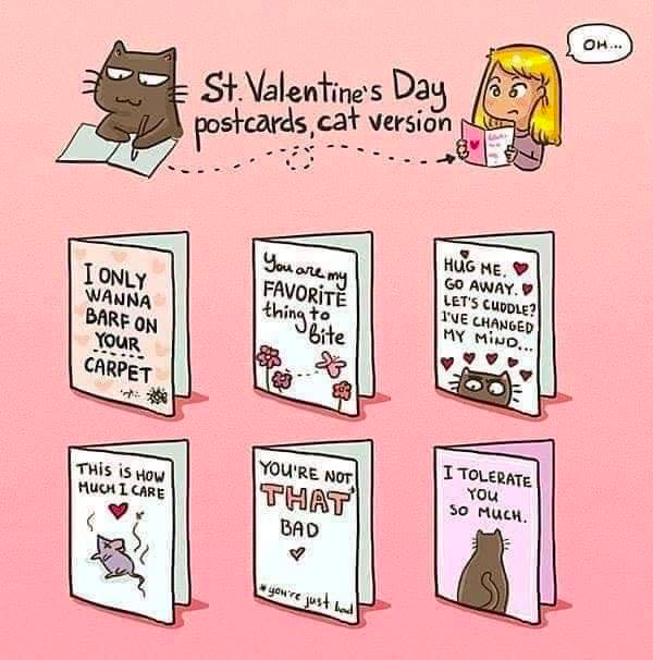 therealdickcat's tweet photo. Now *these* are Valentines. https://t.co/ltYJh4W8fh
