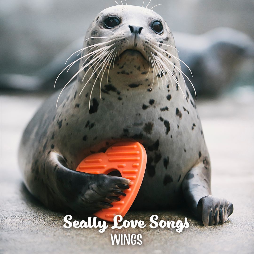 Point Defiance Zoo & Aquarium tweet media