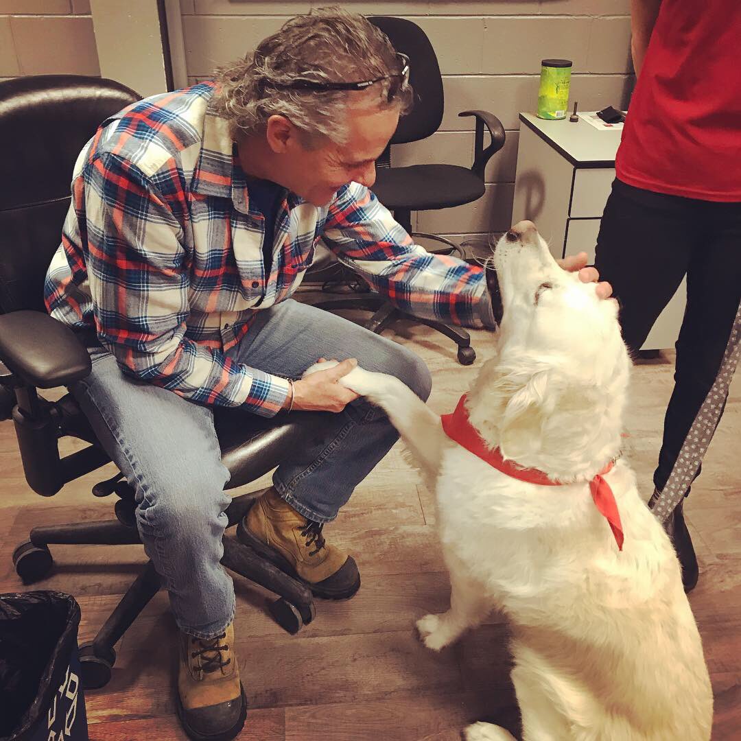 Special thank you to <a href="/stjohnambulance/">St John Ambulance England</a> for bringing the #therapydogs into the #Prodomax office today. #ValentinesDay was the perfect day for some #puppylove.
