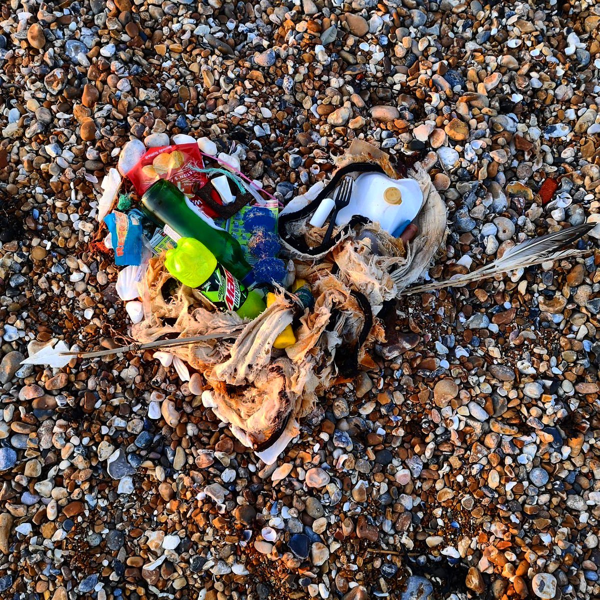 #ShowYourBeachSomeLove #cleanerseasproject #2minutebeachclean