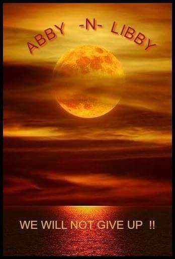 sharkattack67's tweet image. LET TODAY BE THE DAY!!
#delphistrong 
TIP INFORMATION CONTACTS

Email:Abbyandlibbytip@cacoshrf.com
Tip Line: (844) 459-5786
Indiana State Police: (800) 382-7537
Carroll County Sheriff: (765) 564-2413
#justiceforlibbyandabby 
#AbbyandLibby