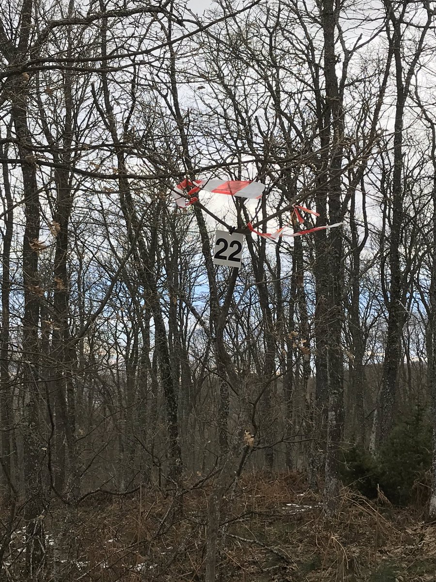 Chicos, esto creo que no puede ser, como decía padre “deja las cosas como te las has encontrado”.
🚩🚩🚩🚩
#montaña #nutriumpfg #trailrunners #trailrunning #baliza #marcas  #trail #run #recorrido #trailnutrium #nutrium #nutriumlifestyle