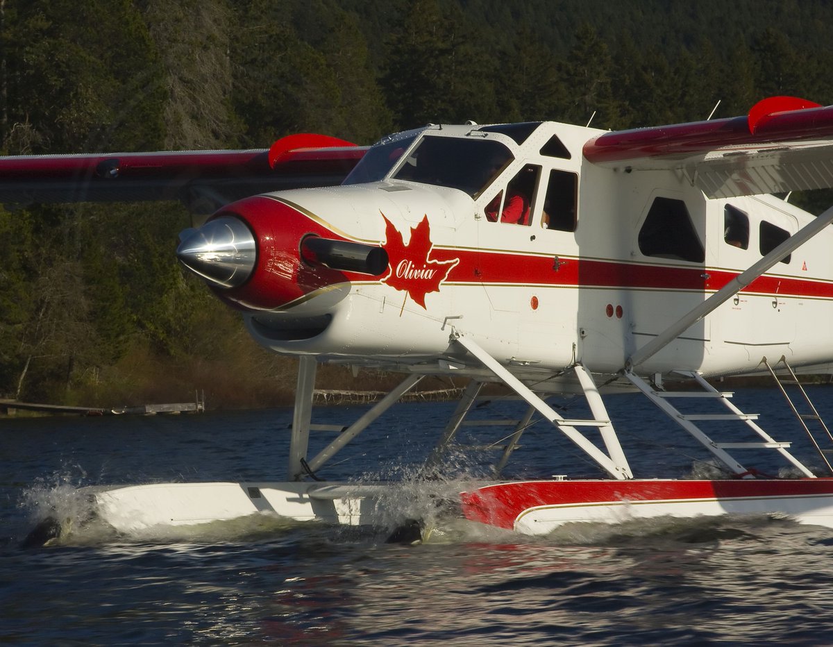 vikingairltd's tweet photo. In recognition of #Valentine's Day today, we want to know which Viking #aircraft would you #love to have as your #sweetheart - the #DHC6 #Series400 #TwinOtter, or the #DHC2T #Turbo #Beaver? #avgeek https://t.co/geOdPl5y0P