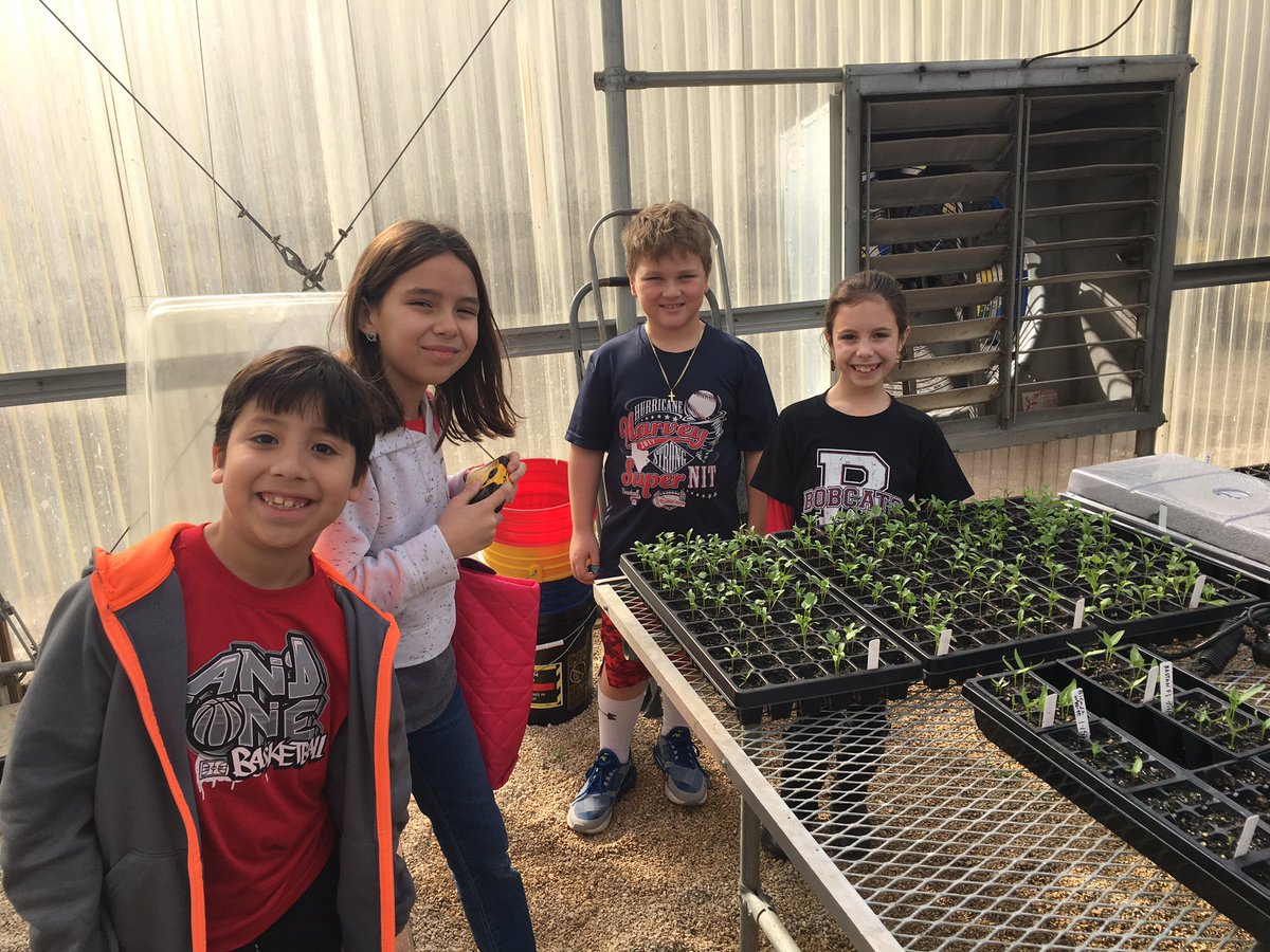 teacher_ttu's tweet photo. Field trip fun! @safoodbank @NISDBraunStat #gopublic #ThisIsNorthside #fieldtripfun #studentsgiveback #realworldlearning https://t.co/va9yNaSi3j