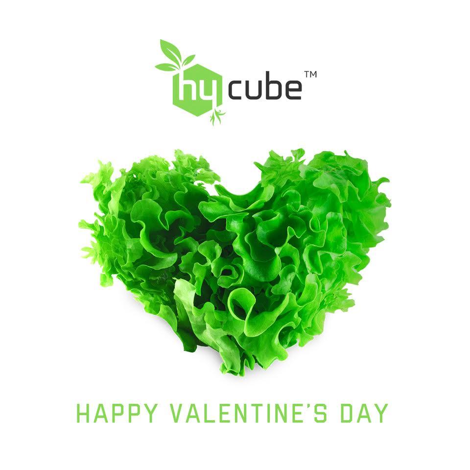 KaleraProduce's tweet photo. Happy Valentine’s Day!
#hycube #pick2plate #hydroponics #organic #foodie #cleaneating #foodsafety #nonGMO #freshfromFL #cleanproduce #sustainable #sustainableproduce #chefs #chefstalk #cheflife #chefsofinstagram #valentinesday https://t.co/mQWKuO9oSJ