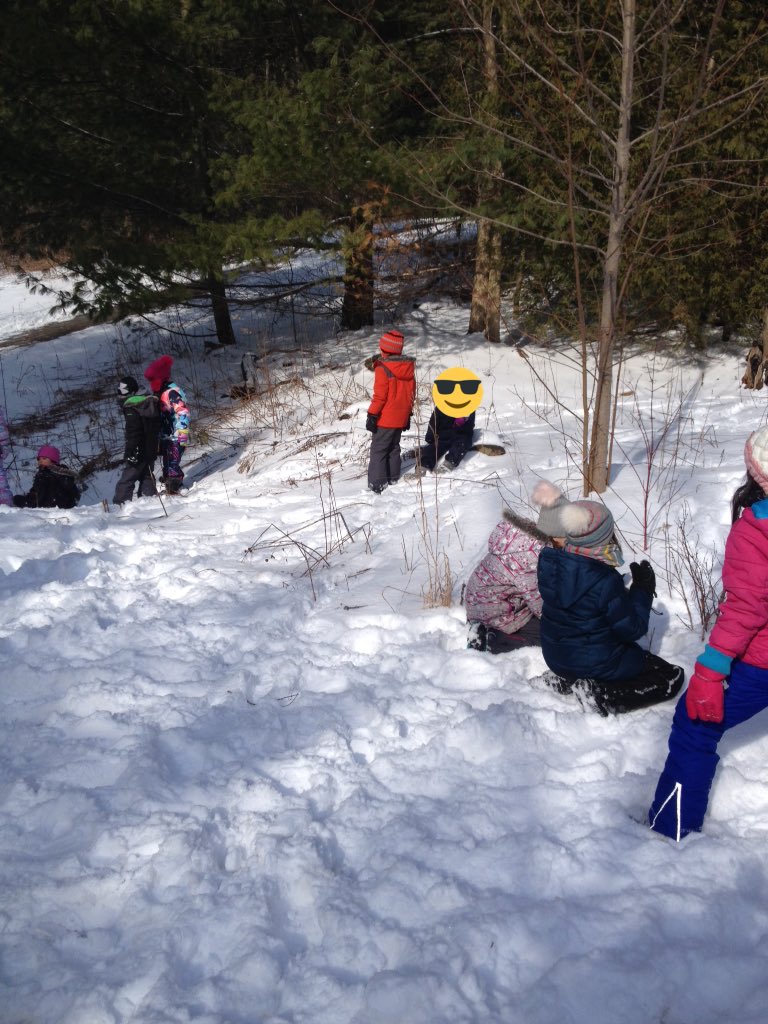 Rm111Gators's tweet photo. Loving 'fresh' snow as we enjoyed a story walk using Over & Under the Snow. We put out some bird seed too! #YRDSBGetOut #TMOWinterChallenge https://t.co/By9X8t7Sxj