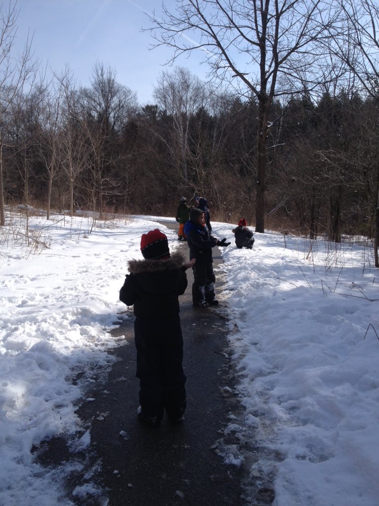 Rm111Gators's tweet photo. Loving 'fresh' snow as we enjoyed a story walk using Over & Under the Snow. We put out some bird seed too! #YRDSBGetOut #TMOWinterChallenge https://t.co/By9X8t7Sxj