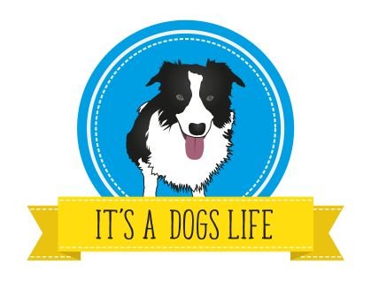 Itsadogslife30's tweet photo. #SBS #Business #Itsadogslife #DogWalking #QueenOf #SmallBusiness #SBSevent2019 #SBSWinner #MakingItWork #MarketMe #SmartSocial #TryingToNetwork #SmartBusinessDecisions
πππππ https://t.co/QxC6yITDJA