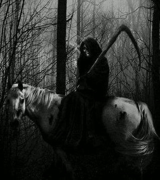 lindavmpire's tweet photo. ^¥^ https://t.co/btwSlQnBfc