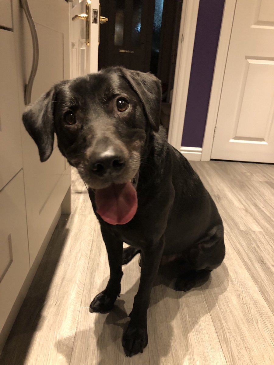 Hello everybody my names mac and I’ve come to live with the Glaves family forever