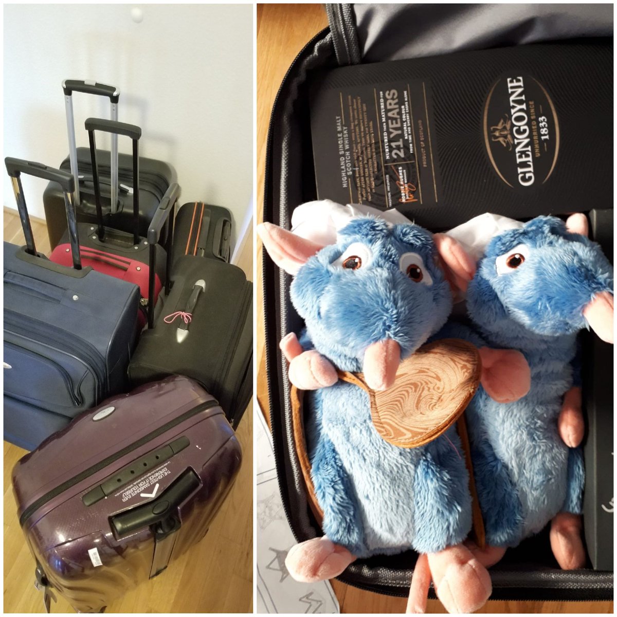 BirkelChristina's tweet photo. ...all my bags are packed...and I hope these guys keep their paws away from my @Glengoyne whiskey. #MovingFamily #MovingBirkels #Priorities #IntoTheDesert https://t.co/aqm3FIaCZ1