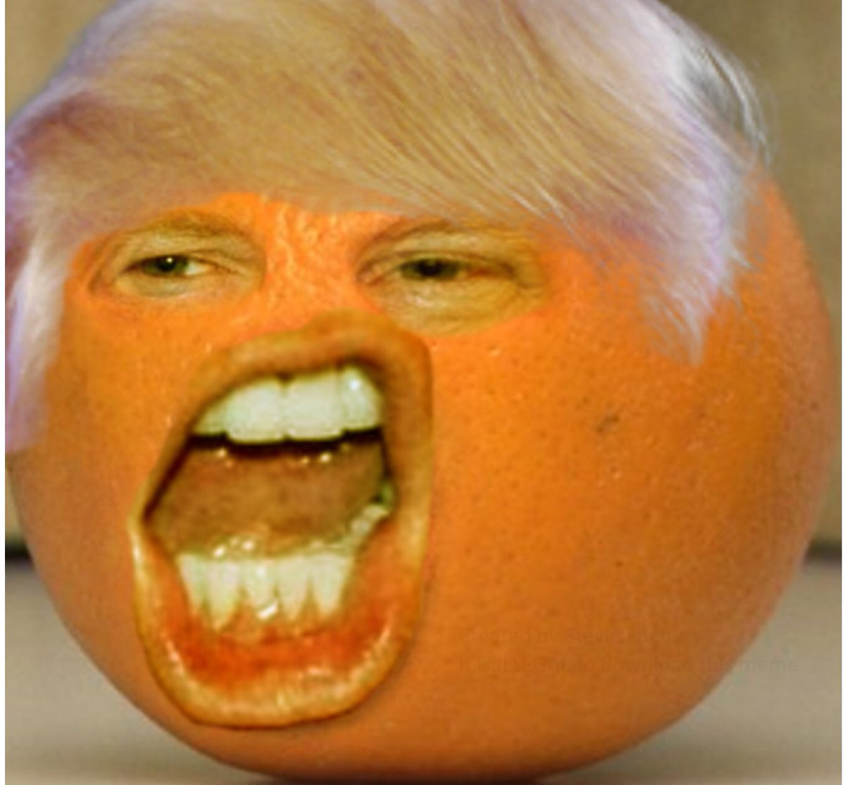 Buckshady_VFL's tweet photo. This idiot is gonna ruin our country. To Hell with him. Adolph Trump #trumpsucks #snowflakestrong https://t.co/2e0nIc8K7c