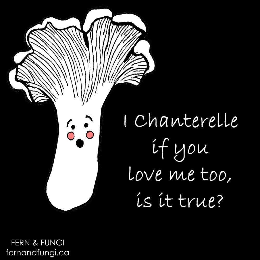 fernandfungi's tweet photo. Happy Valentine’s Day folks! We are still here, just buried under a whole lot of snow! Sarah drew these mushroom valentines today to share with you and your favourite mushroom lover. Cheers! https://t.co/oUJP9x86u3