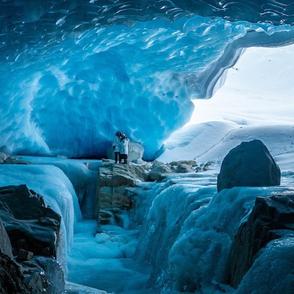 MSA Adventures tweet media