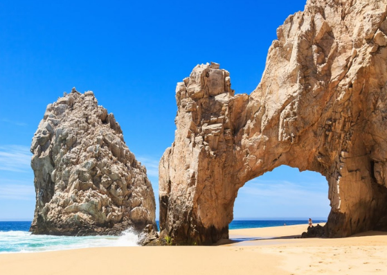 MCC_Home's tweet photo. The #CelebratingMothers2019 silent #auction is now LIVE! Bid today on coveted courtside tickets to a @sixers game, a 7 night stay in Cabo San Lucas, ‘za from @PizzeriaVetri and even a @GrittyNHL package (can you say #Zamboni?). Make your bid today! >>> https://t.co/hfyjDSblTm https://t.co/7EZxPyw7gY