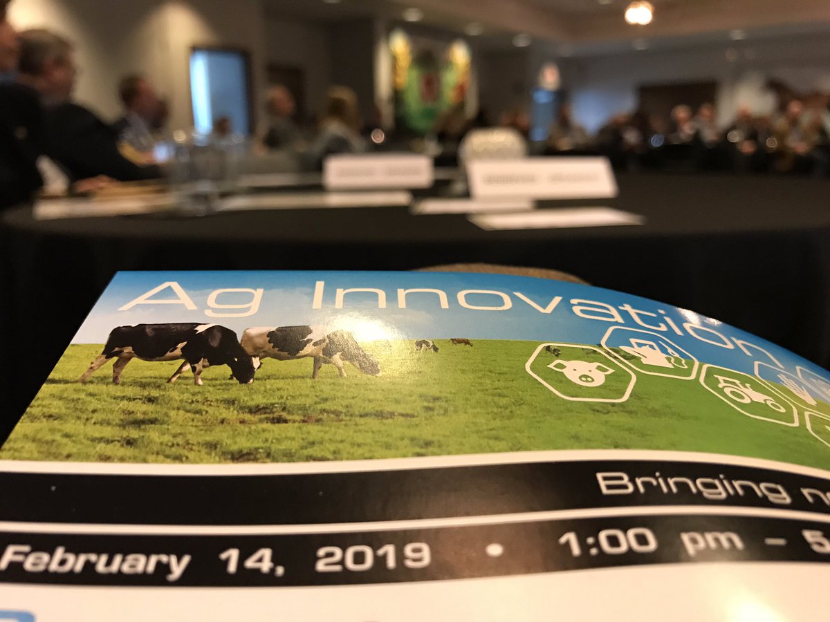 bmccornack's tweet image. Honored to represent K-State  at the Ag Innovation panel on promising research in the pipleline. Thanks @agbiz for the opportunity!! Education is still a primary driver of our future success. #inquiry #systemsthinking #adaptivechallenges #learningisdoing @kansascornSTEM