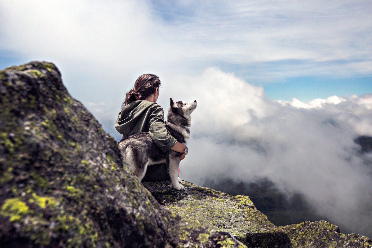 ForjRibbon's tweet photo. Happy Valentine's Day from the Forj Team! Who is your adventure buddy? Tag them and tell us where you want to explore with them next!

#FixItWithForj #valentinesday #adventurebuddy https://t.co/iufC1wjZZJ