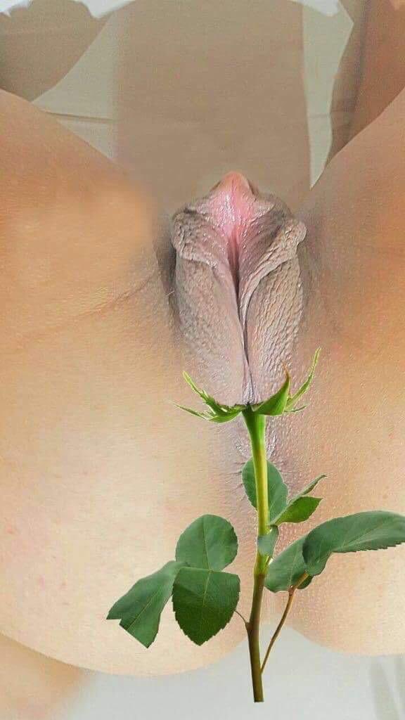 Es imposible mandar un mensaje a cada uno de ustedes por la amistad brindada, lo mínimo es regalarles una rosa, si no le han mandado la suya, espero alegrarles el momento. 🥰🌹 Feliz San Valentin