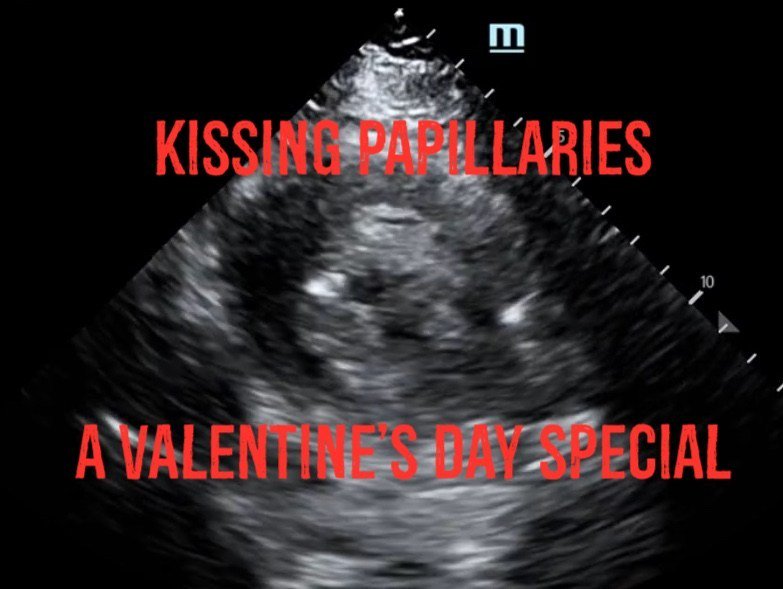 Hennepin Ultrasound tweet media