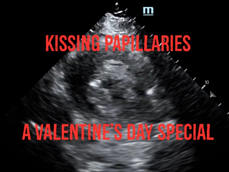 Hennepin Ultrasound tweet media