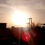 ツイートに含まれる画像