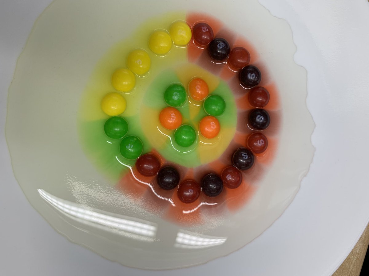 FcsHighlands's tweet photo. A little preschool science fun in Early Lifespan Dev today. #skittles #preschoolscience #fcshhs @FTHighlandsHS @mcbertasso @FTISSuper https://t.co/XeDLnMv9jq