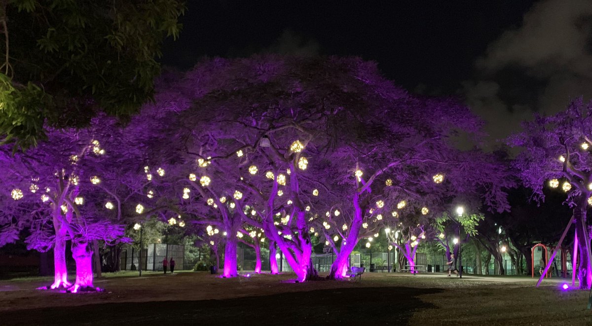 Top off your #ValentinesDay with a stroll through Peacock Park under the #GroveGlow light installation by <a href="/CoconutGroveBID/">Coconut Grove Miami</a>!