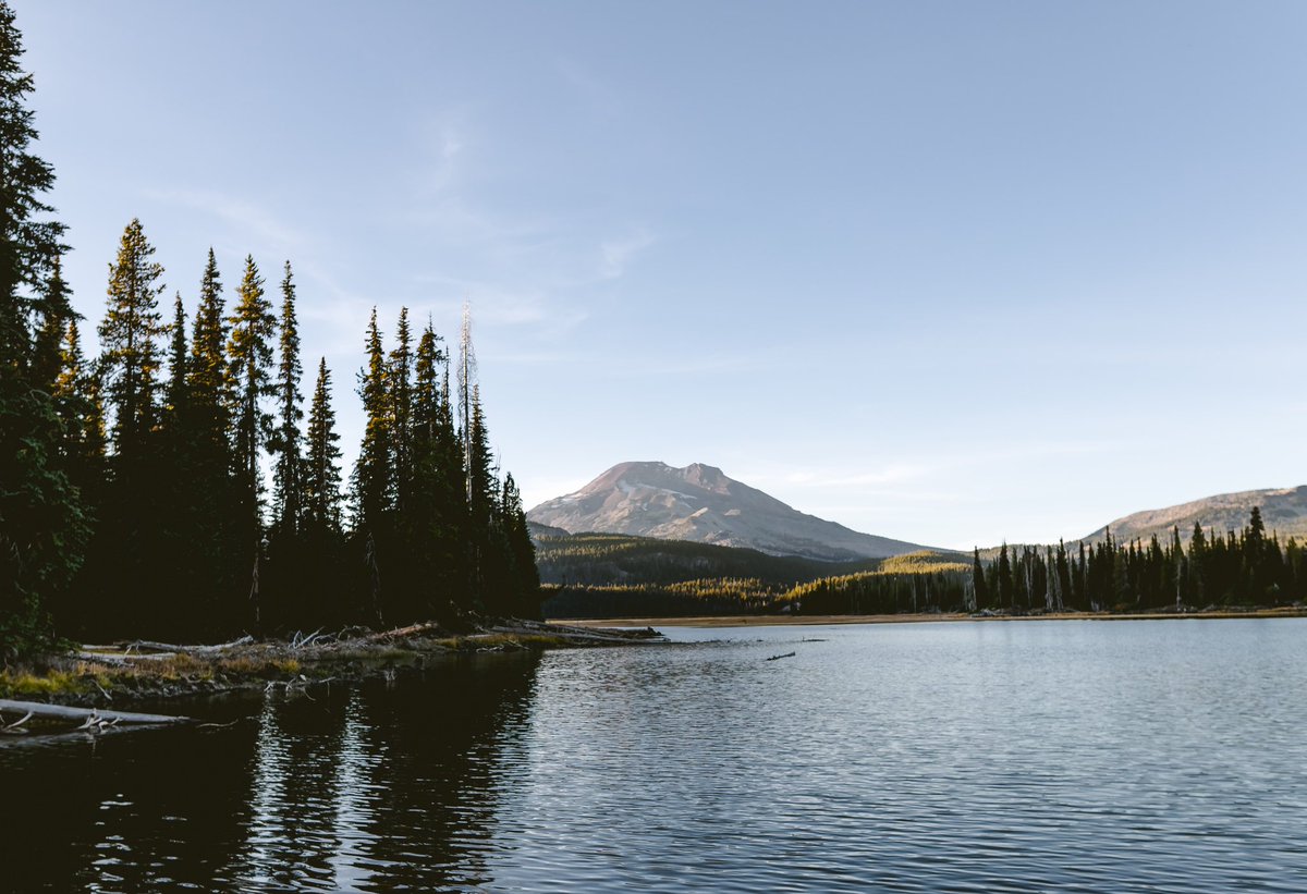 briscoepark's tweet image. Glad I could be here.