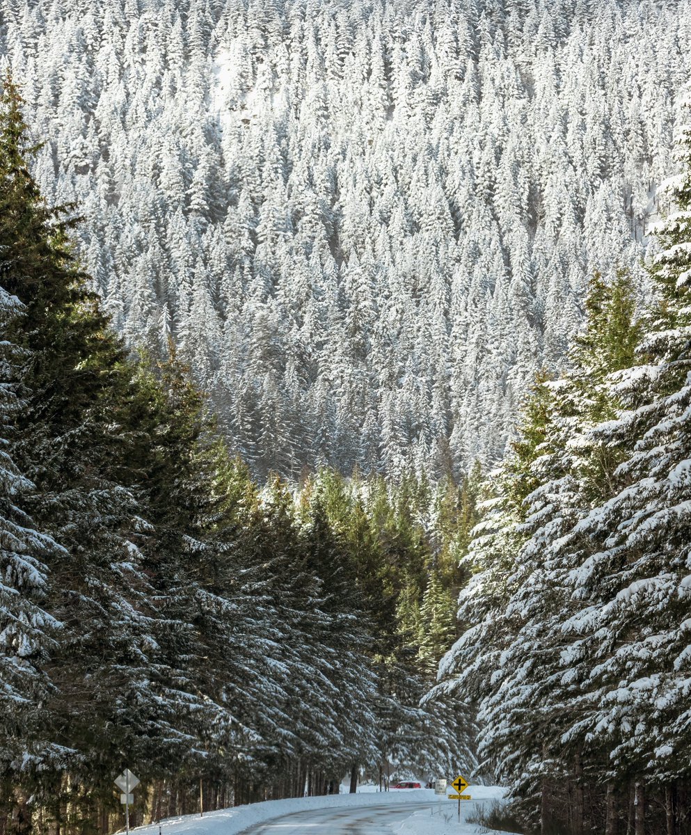 briscoepark's tweet image. Glad I could be here.