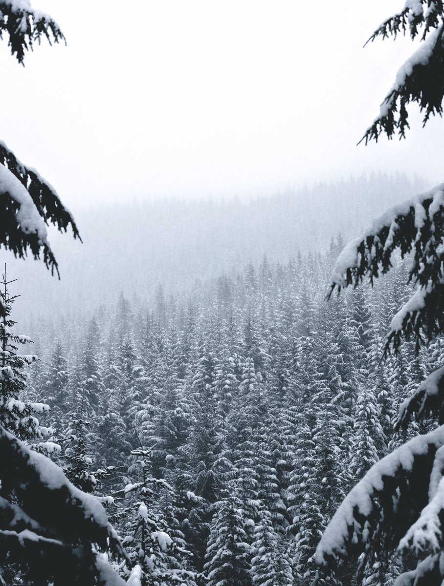 briscoepark's tweet image. Glad I could be here.